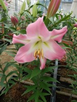 [5646 VH76 No02.JPG]